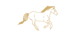 Logo lemanoirdeschevauxdores.fr